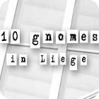 Mäng 10 Gnomes in Liege