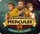 Mäng 12 Labours of Hercules VII: Fleecing the Fleece