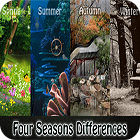 Mäng Four Seasons Differences