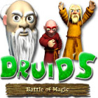 Mäng Druid's Battle of Magic