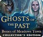 Mäng Ghosts of the Past: Bones of Meadows Town Collector's Edition