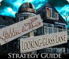 Mäng Hidden in Time: Looking-glass Lane Strategy Guide