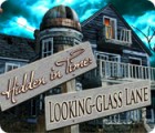 Mäng Hidden in Time: Looking-glass Lane