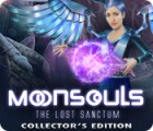 Mäng Moonsouls: The Lost Sanctum Collector's Edition