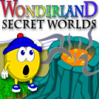 Mäng Wonderland Secret Worlds