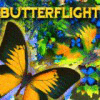 Mäng Butterflight