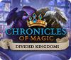 Mäng Chronicles of Magic: The Divided Kingdoms