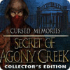 Mäng Cursed Memories: The Secret of Agony Creek Collector's Edition