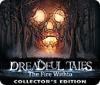 Mäng Dreadful Tales: The Fire Within Collector's Edition