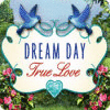 Mäng Dream Day True Love
