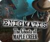 Mäng Enigmatis: The Ghosts of Maple Creek