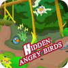 Mäng Hidden Angry Birds