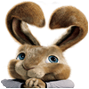 Mäng Hop: Easter Bunny Coloring