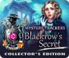 Mäng Mystery Trackers: Blackrow's Secret Collector's Edition