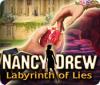 Mäng Nancy Drew: Labyrinth of Lies