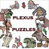 Mäng Plexus Puzzles