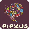 Mäng Plexus Puzzles: Rebuild the Earth