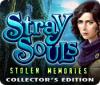 Mäng Stray Souls: Stolen Memories Collector's Edition