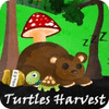 Mäng Turtles Harvest