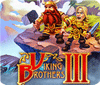 Mäng Viking Brothers 3 Collector's Edition